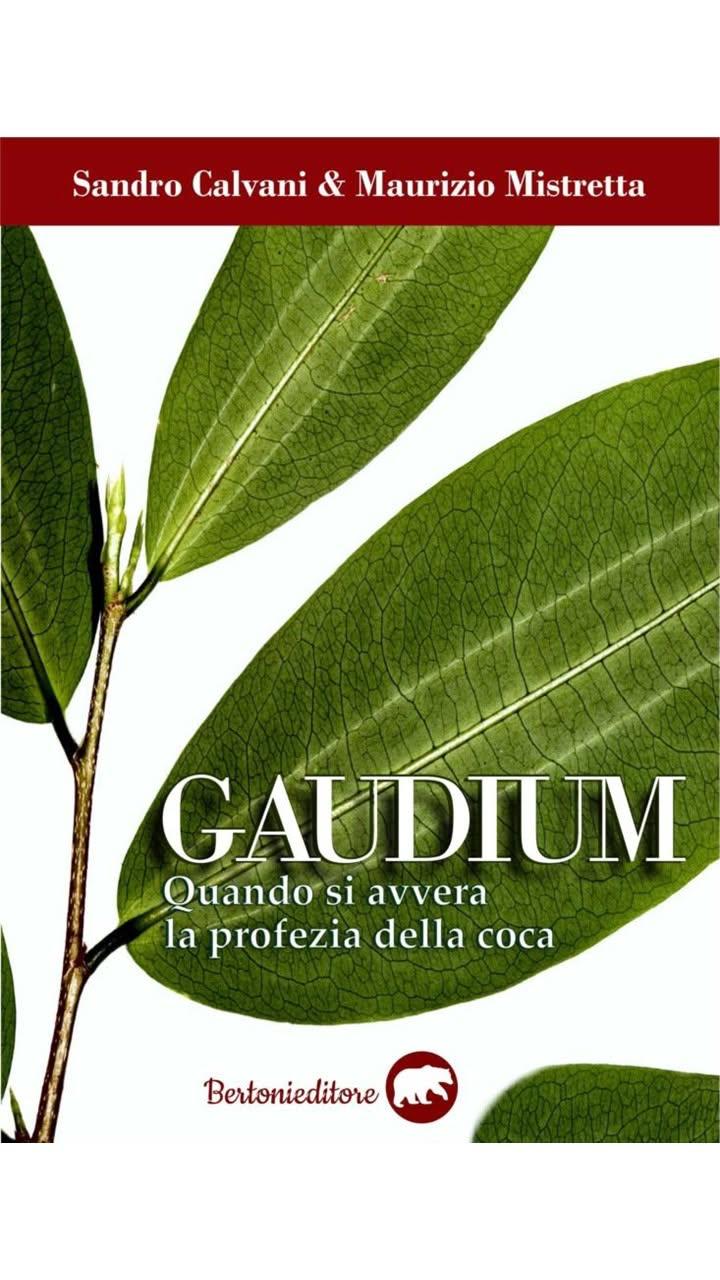 Gaudium